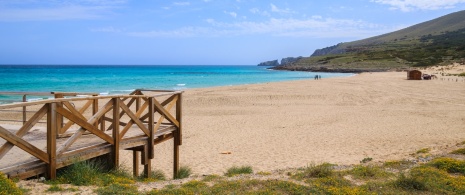 Widok na Cala Mesquida na Majorce, Baleary Widok na Cala Mesquida na Majorce, Baleary