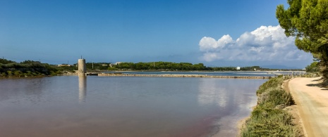 Widok na Estany Pudent w rezerwacie przyrody Ses Salines w Formenterze na Balearach Widok na Estany Pudent w rezerwacie przyrody Ses Salines w Formenterze na Balearach