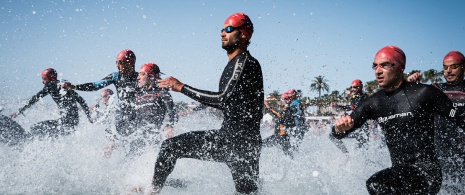Triathlon Olimpijski na Majorce Triathlon Olimpijski na Majorce