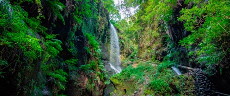 Detail of waterfalls at the Marcos y Cordero springs in Los Tilos forest on La Palma, Canary Islands Detail of waterfalls at the Marcos y Cordero springs in Los Tilos forest on La Palma, Canary Islands
