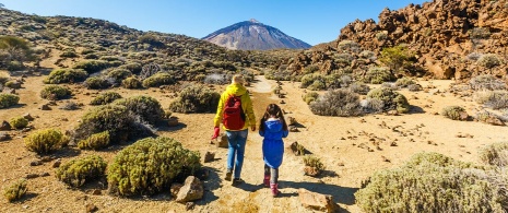 Touristen wandern zum Teide auf Teneriffa, Kanarische Inseln Touristen wandern zum Teide auf Teneriffa, Kanarische Inseln