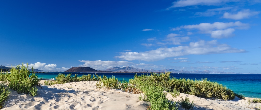 Widok wydm w Corralejo na Fuerteventurze, Wyspy Kanaryjskie