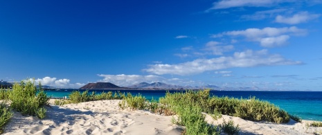 Widok wydm w Corralejo na Fuerteventurze, Wyspy Kanaryjskie Widok wydm w Corralejo na Fuerteventurze, Wyspy Kanaryjskie