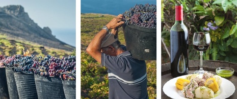 Images des vendanges et de vin sur l’île de La Palma, îles Canaries Images des vendanges et de vin sur l’île de La Palma, îles Canaries