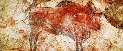 Bison. Höhle von Altamira. Santillana del Mar. Kantabrien Bison. Höhle von Altamira. Santillana del Mar. Kantabrien
