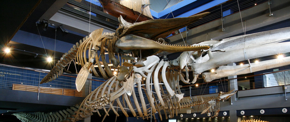  Musée maritime de Cantabrie