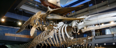 Musée maritime de Cantabrie Musée maritime de Cantabrie