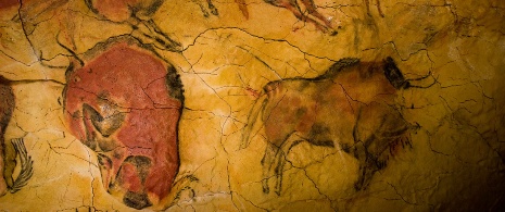 Riproduzione di bisonti nel Museo di Altamira, Santilla del Mar Riproduzione di bisonti nel Museo di Altamira, Santilla del Mar