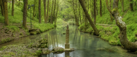 Source of the Ebro river in Fontibre, Cantabria Source of the Ebro river in Fontibre, Cantabria