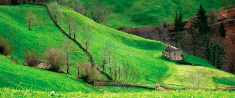 Vega de Pas, Cantabria Vega de Pas, Cantabria