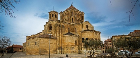 Collegiate Church of Santa María. toro (Bull). Zamora Collegiate Church of Santa María. toro (Bull). Zamora