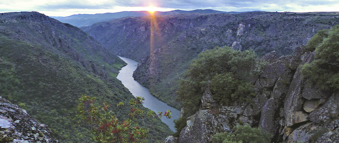 Mirante Colagón Tío Paco. Arribes del Duero. Zamora.