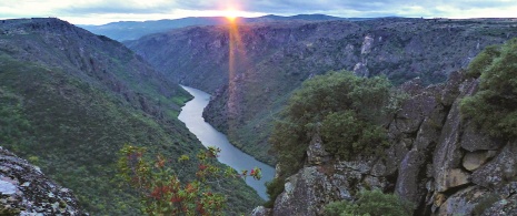 Mirante Colagón Tío Paco. Arribes del Duero. Zamora. Mirante Colagón Tío Paco. Arribes del Duero. Zamora.