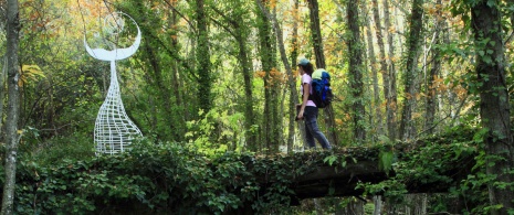 Le sentier de l'eau dans le parc naturel de Las Batuecas-Sierra de Francia Le sentier de l'eau dans le parc naturel de Las Batuecas-Sierra de Francia