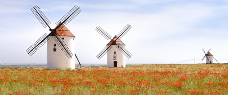 View of the Mota del Cuervo windmills in Cuenca, Castile-La Mancha View of the Mota del Cuervo windmills in Cuenca, Castile-La Mancha
