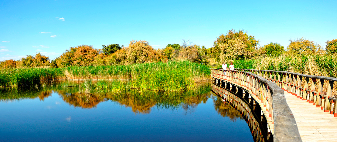Las Tablas de Daimiel National Park in Castilla La Mancha Las Tablas de Daimiel National Park in Castilla La Mancha