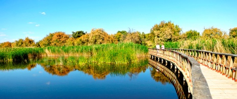Las Tablas de Daimiel National Park in Castilla La Mancha Las Tablas de Daimiel National Park in Castilla La Mancha