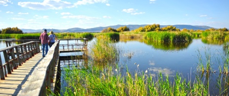 Tablas de Daimiel, Ciudad Real Tablas de Daimiel, Ciudad Real