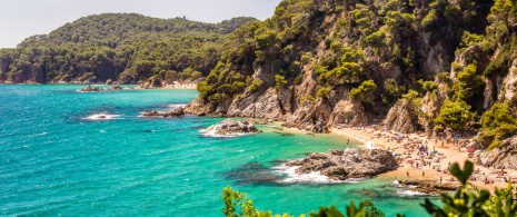 View of Sa Boadella beach in Lloret de Mar (Girona, Catalonia) View of Sa Boadella beach in Lloret de Mar (Girona, Catalonia)