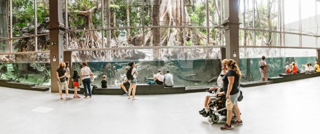 Familias contemplando el bosque tropical del CosmoCaixa de Barcelona, Cataluña Familias contemplando el bosque tropical del CosmoCaixa de Barcelona, Cataluña