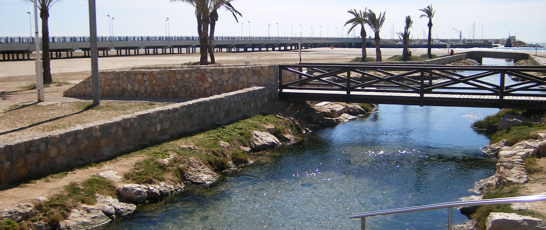 Riuet spring at Playa Coma-ruga