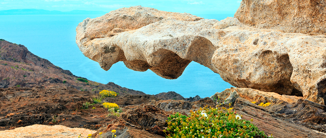 Detail of the landscape on the coastline of Cap de Creus Detail of the landscape on the coastline of Cap de Creus