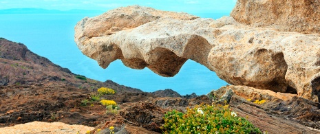 Detail of the landscape on the coastline of Cap de Creus Detail of the landscape on the coastline of Cap de Creus
