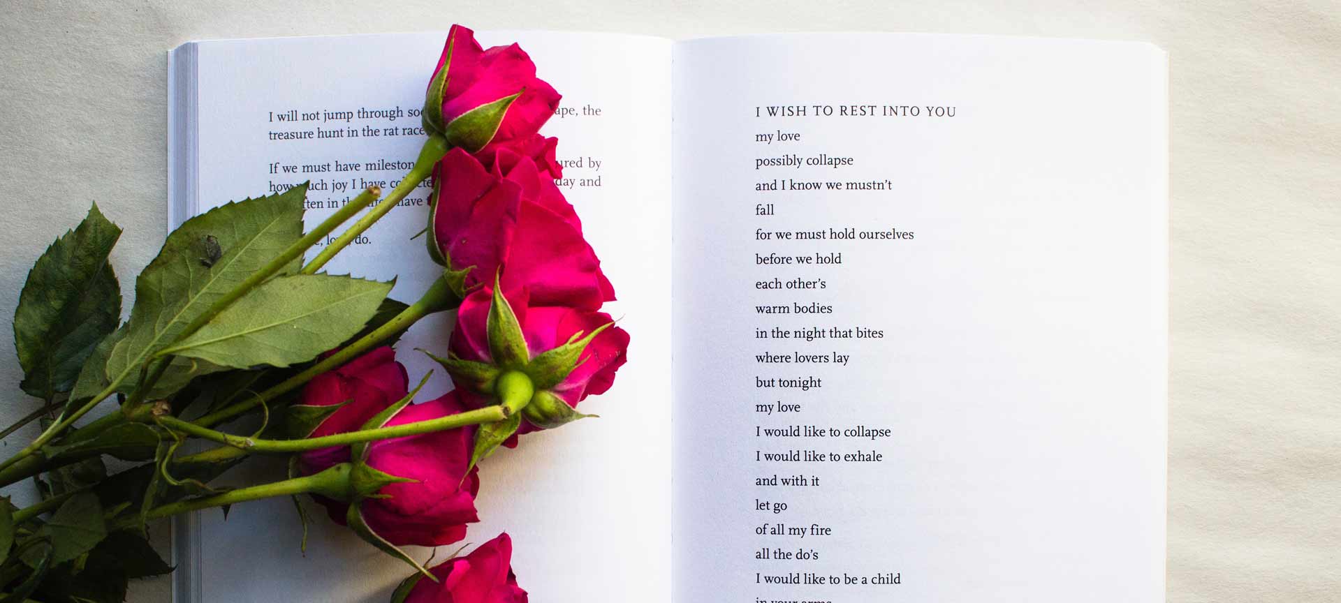 Rose and book