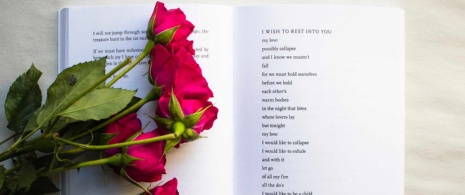 Rose and book Rose and book