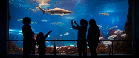 Turistas en el oceanario del Aquàrim de Barcelona, Cataluña Turistas en el oceanario del Aquàrim de Barcelona, Cataluña