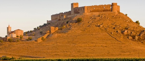 Castillo de Medellín. Badajoz Castillo de Medellín. Badajoz