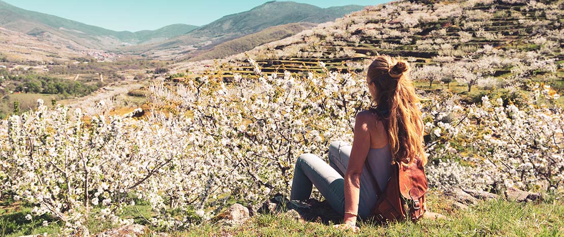 Turista contemplando as cerejeiras em flor no Vale do Jerte, Extremadura