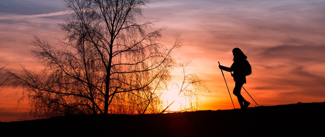 Pilgrims at dawn on the Camino de Santiago