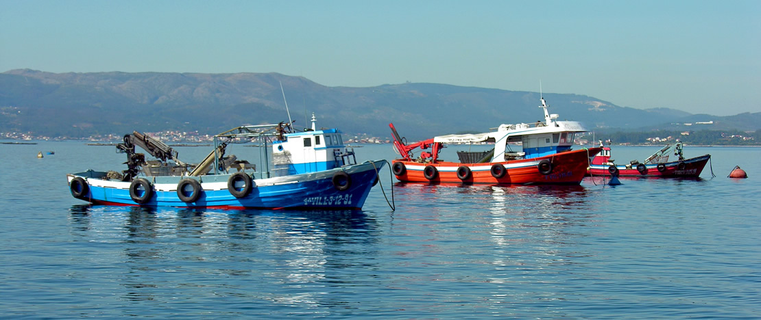 Fishing boats in Galicia