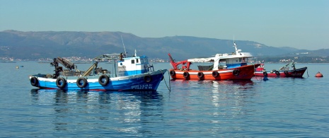 Fishing boats in Galicia Fishing boats in Galicia