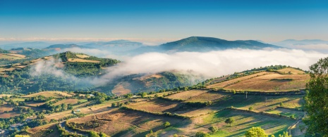 Vista del mare di nuvole nella zona di O'Cebreiro a Lugo, Galizia Vista del mare di nuvole nella zona di O'Cebreiro a Lugo, Galizia