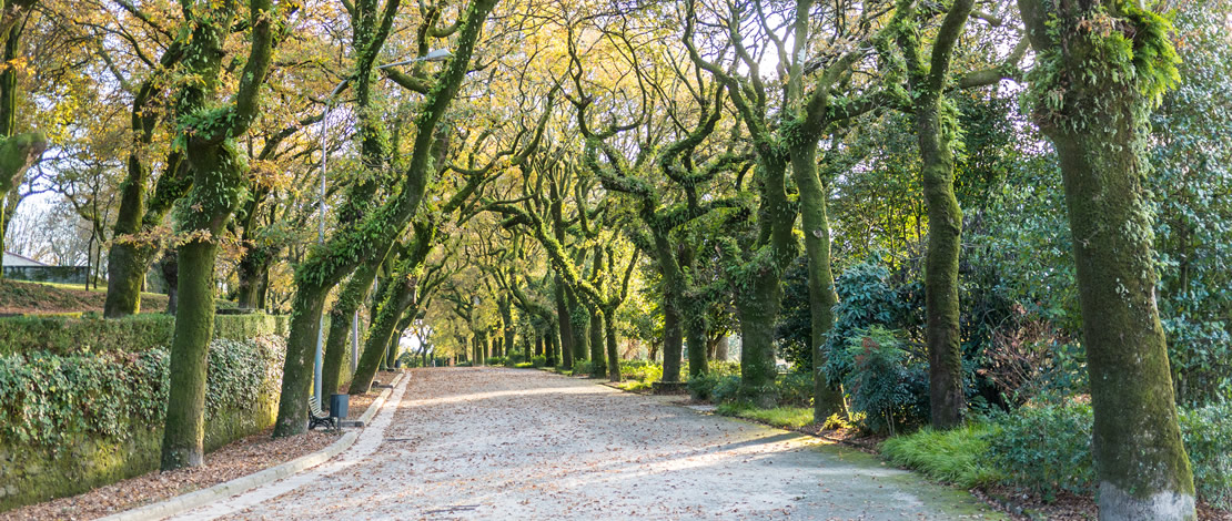 Alameda Park in Santiago de Compostela, Galicia