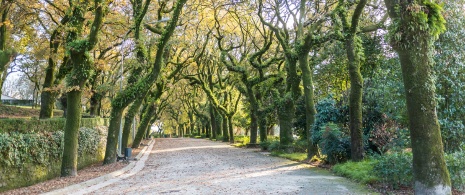 Alameda Park in Santiago de Compostela, Galicia Alameda Park in Santiago de Compostela, Galicia