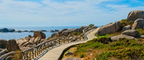 View of the wooden footbridge that runs along the San Vicente do Mar maritime path, O Grove. View of the wooden footbridge that runs along the San Vicente do Mar maritime path, O Grove.