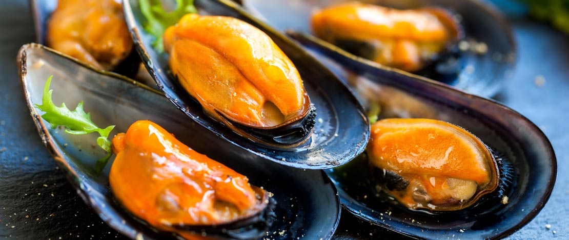 Mussels