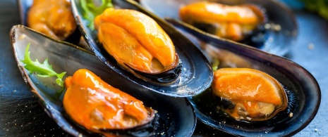 Mussels Mussels