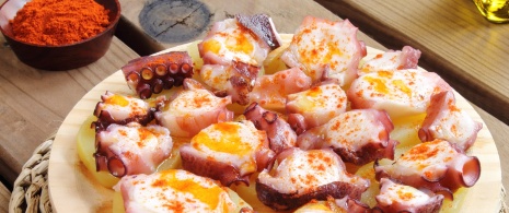 Octopus a feira Octopus a feira
