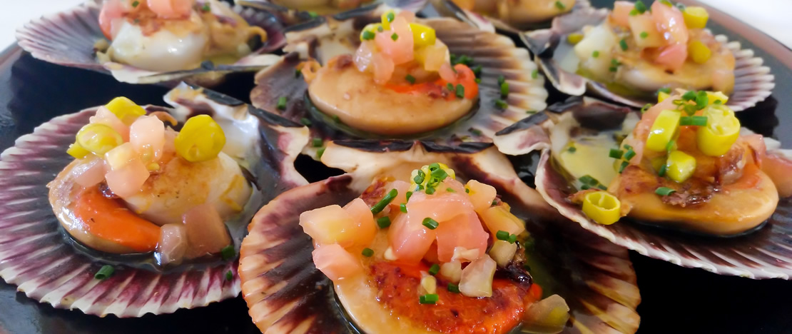 Galician scallops