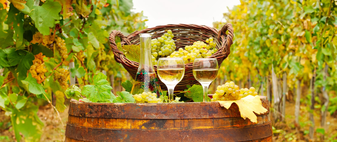 Vino Albariño Vino Albariño