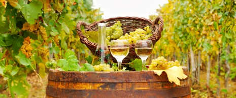 Vino Albariño Vino Albariño