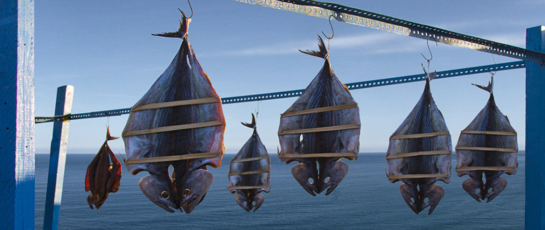Dettaglio di tonni bianchi e volaores che essiccano al sole a Ceuta