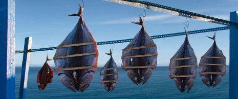 Dettaglio di tonni bianchi e volaores che essiccano al sole a Ceuta Dettaglio di tonni bianchi e volaores che essiccano al sole a Ceuta