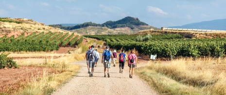 Pilger auf dem Jakobsweg nach Santiago de Compostela, der durch La Rioja führt. Pilger auf dem Jakobsweg nach Santiago de Compostela, der durch La Rioja führt.