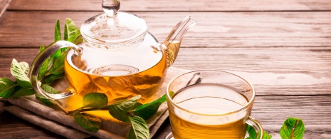 Grüner Tee mit frischer Minze Grüner Tee mit frischer Minze