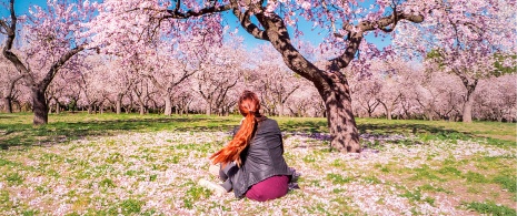 Donna che osserva i mandorli nel Parco Quinta de los Molinos di Madrid Donna che osserva i mandorli nel Parco Quinta de los Molinos di Madrid